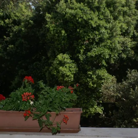 By The Sea Simuni, Pag - 236 Kolan