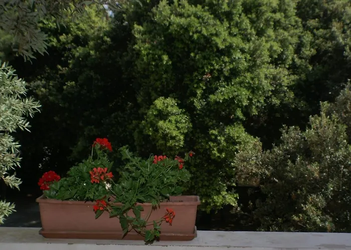 By The Sea Simuni, Pag - 236 Колан